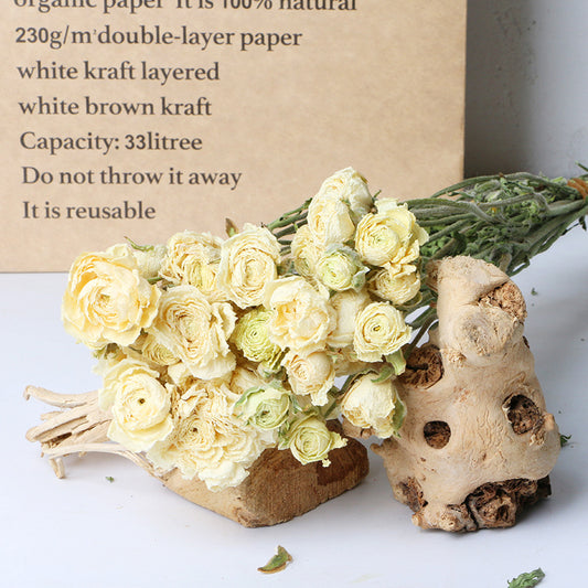 Natural dried flower peony
