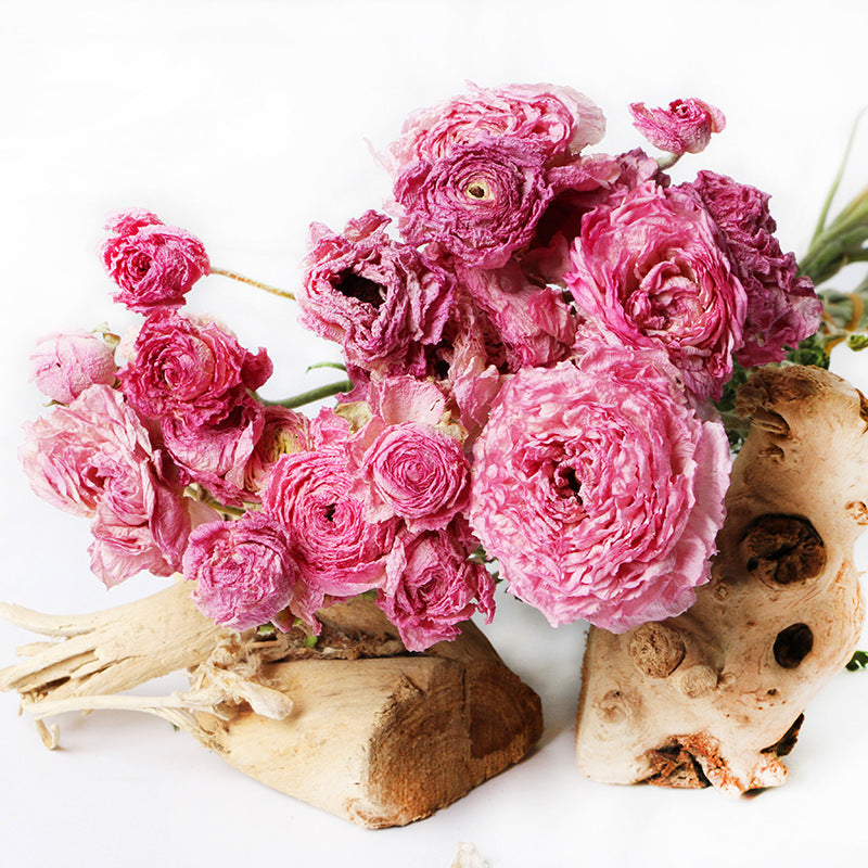 Natural dried flower peony