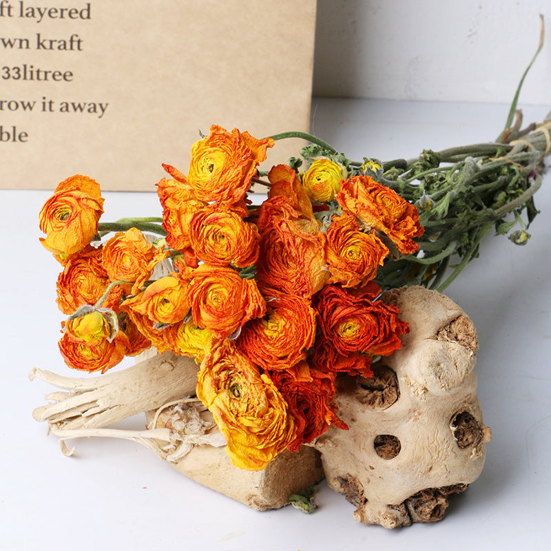 Natural dried flower peony
